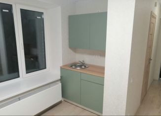 Сдается квартира студия, 15 м2, Москва, Окская улица, 28к3, метро Кузьминки