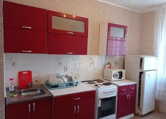 Сдам в аренду однокомнатную квартиру, 35 м2, Тюмень, Верхнетарманская улица, 3, ЖК Новый Мыс 2.0