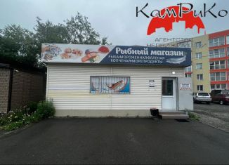 Продам торговую площадь, 31 м2, Камчатский край, улица Гришечко, 7/1