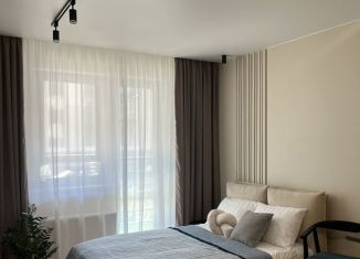 Сдам квартиру студию, 35 м2, Пермь, Пермская улица, 2