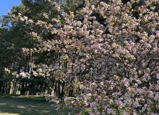 Продаю участок, 6 сот., Ладушкин, Молодёжная улица