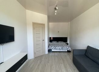 Сдается 1-ком. квартира, 40 м2, Ольгинка, микрорайон Горизонт, 57