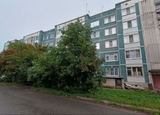 Продаю 1-ком. квартиру, 38 м2, деревня Мины, Школьная улица, 12