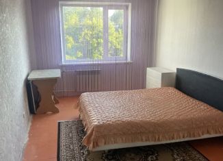 2-ком. квартира в аренду, 64 м2, Рубцовск, улица Федоренко, 17