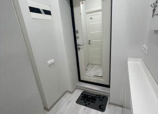 Аренда 2-комнатной квартиры, 40 м2, Сочи, улица Куйбышева, 26