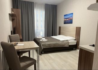 Сдается квартира студия, 25 м2, Санкт-Петербург, Пулковское шоссе, метро Звёздная