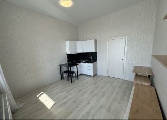 Продам квартиру студию, 23.3 м2, Пермь, ЖК АйЛав, улица Герцена, 4