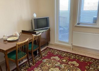 1-ком. квартира на продажу, 34 м2, деревня Куюки, 13-й квартал, 2А