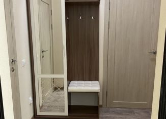 Сдается 1-ком. квартира, 42 м2, Челябинск, проспект Героя России Е.Н. Родионова, 8, ЖК Ньютон