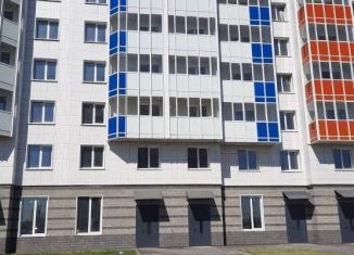 Продам квартиру студию, 26.8 м2, городской посёлок Янино-1, Заводская улица, 18к2