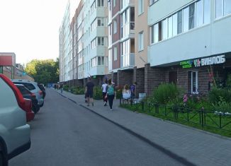 Сдача в аренду помещения свободного назначения, 57 м2, Санкт-Петербург, Гагаринская улица, 77к1