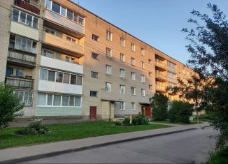 Продажа 2-ком. квартиры, 50.2 м2, деревня Клопицы, деревня Клопицы, 13