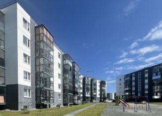 Продам квартиру студию, 32.1 м2, Петрозаводск, Чистая улица, 19