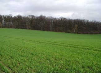 Продается участок, 130000 сот., Дмитровск