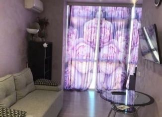 Продается квартира студия, 32.6 м2, Сочи, микрорайон Мамайка, Виноградная улица, 206