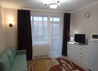 Сдается квартира студия, 26 м2, посёлок Стрельна, проспект Будённого, 26к3