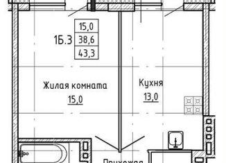 Продажа 1-ком. квартиры, 43.3 м2, Новосибирская область, улица Ляпидевского, 5