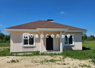 Продаю дом, 100 м2, Сасово, Ново-Елатомская улица, 28