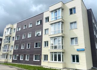 Продается четырехкомнатная квартира, 117.6 м2, деревня Болтино, улица Баздырева, 9