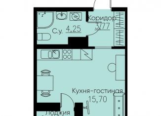 Квартира на продажу студия, 24.7 м2, Кудрово, проспект Строителей, 1к2