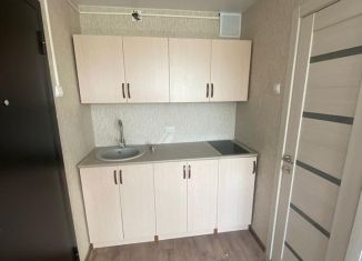 Продается квартира студия, 17 м2, Пенза, Ульяновская улица, 19