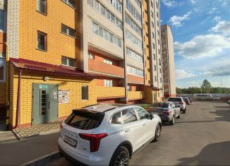 Продам 1-ком. квартиру, 42 м2, деревня Новосельцы, Юбилейная улица, 11