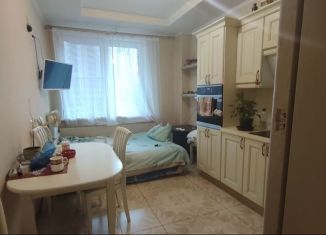 Сдается 2-комнатная квартира, 50 м2, Санкт-Петербург, Шуваловский проспект, 37к1, Приморский район
