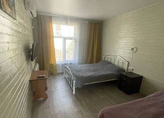 Сдается 1-ком. квартира, 30 м2, Сочи, Фермерский переулок, 10/2