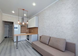 Сдача в аренду 1-комнатной квартиры, 40 м2, Краснодар, Российская улица, 267к4, Музыкальный микрорайон