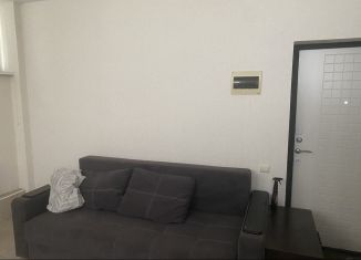 Сдам квартиру студию, 31 м2, Ростов-на-Дону, Агатовая улица, 50