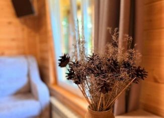 Комната в аренду, 15 м2, село Артыбаш, Подгорный переулок, 5А