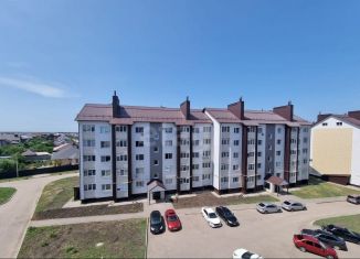 Продаю 1-ком. квартиру, 28.6 м2, деревня Крутые Выселки, ЖК Изумрудный Город, Лучезарная улица, 8А