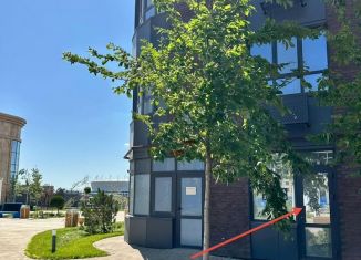 Сдаю в аренду помещение свободного назначения, 55.7 м2, Ростов-на-Дону, Левобережная улица, 6/1с1, Кировский район