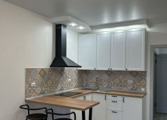 Сдаю квартиру студию, 31 м2, Санкт-Петербург, Богатырский проспект, Приморский район