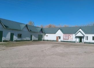 Продаю торговую площадь, 380 м2, Алтайский край, Партизанская улица, 61