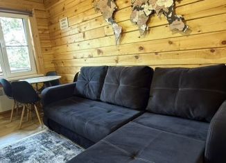 Сдаю дом, 36 м2, деревня Куркут, Московская улица, 3Г