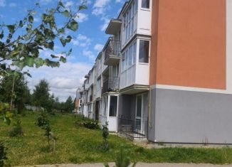 Сдаю в аренду однокомнатную квартиру, 22.3 м2, посёлок Голубево, Изумрудная улица, 27