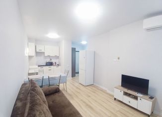 Сдается 1-ком. квартира, 36.2 м2, Новороссийск, улица Куникова, 47Г
