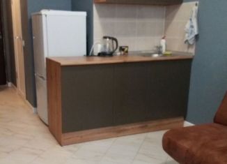 Сдаю в аренду квартиру студию, 23 м2, деревня Афонино, улица Красная Поляна, 7