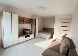 Сдаю 1-комнатную квартиру, 37.6 м2, Пушкин, улица Генерала Хазова, 9