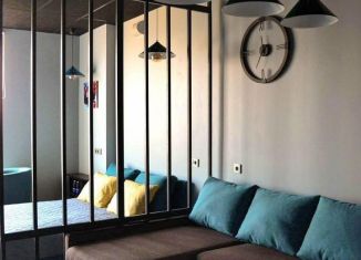 Продажа квартиры студии, 33 м2, Нижний Новгород, метро Горьковская, улица Максима Горького, 23А