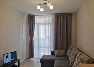 Сдача в аренду двухкомнатной квартиры, 40 м2, Петрозаводск, улица Энтузиастов, 9