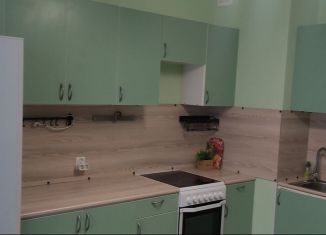 Сдам в аренду 1-комнатную квартиру, 41 м2, Ленинградская область, Арсенальная улица, 7