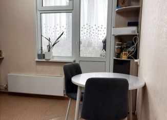 Продаю 1-комнатную квартиру, 30.6 м2, Нижний Новгород, метро Буревестник, Бурнаковская улица, 79