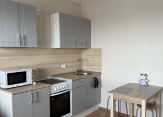 Аренда однокомнатной квартиры, 32.8 м2, Санкт-Петербург, улица Дыбенко, 5к1, Невский район