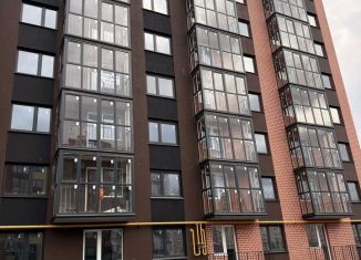 Продается 1-комнатная квартира, 38.5 м2, деревня Дерябиха, деревня Дерябиха, 82