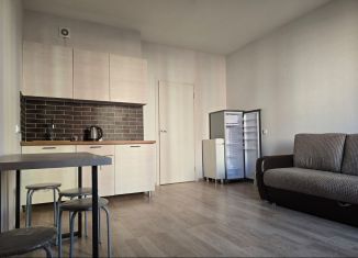 Квартира на продажу студия, 26.2 м2, Мурино, улица Шоссе в Лаврики, 78к1