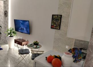 Сдаю 1-комнатную квартиру, 28 м2, село Краевско-Армянское, Измайловская улица, 20А