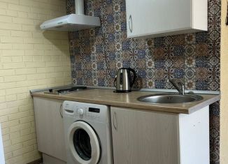 Сдача в аренду квартиры студии, 24 м2, станица Тамань, Фонтанная улица, 15