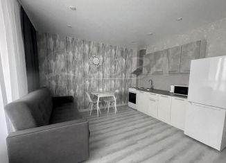 Сдаю в аренду квартиру студию, 27 м2, Тюмень, улица Константина Посьета, 4к1, ЖК Пятый квартал